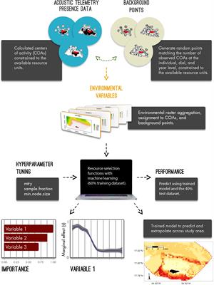 A Novel Framework to Predict Relative Habitat Selection in Aquatic Systems: Applying Machine Learning and Resource Selection Functions to Acoustic Telemetry Data From Multiple Shark Species